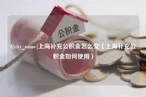 鹤壁上海补充公积金怎么交（上海补充公积金如何使用）